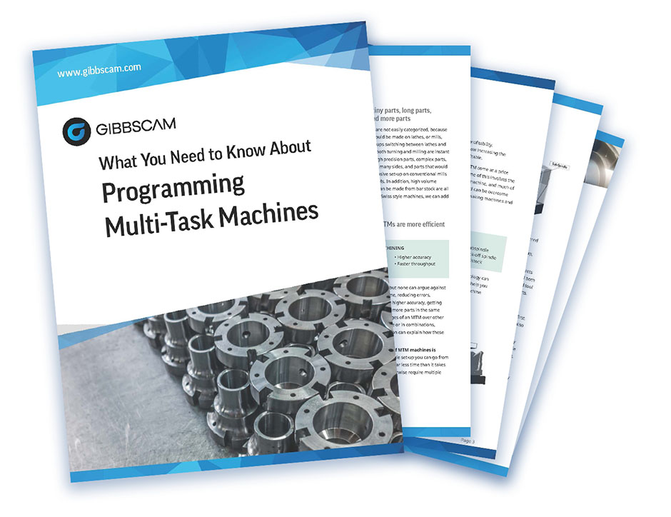 What You Need to Know About Programming Multi-Task Machines [White Paper]